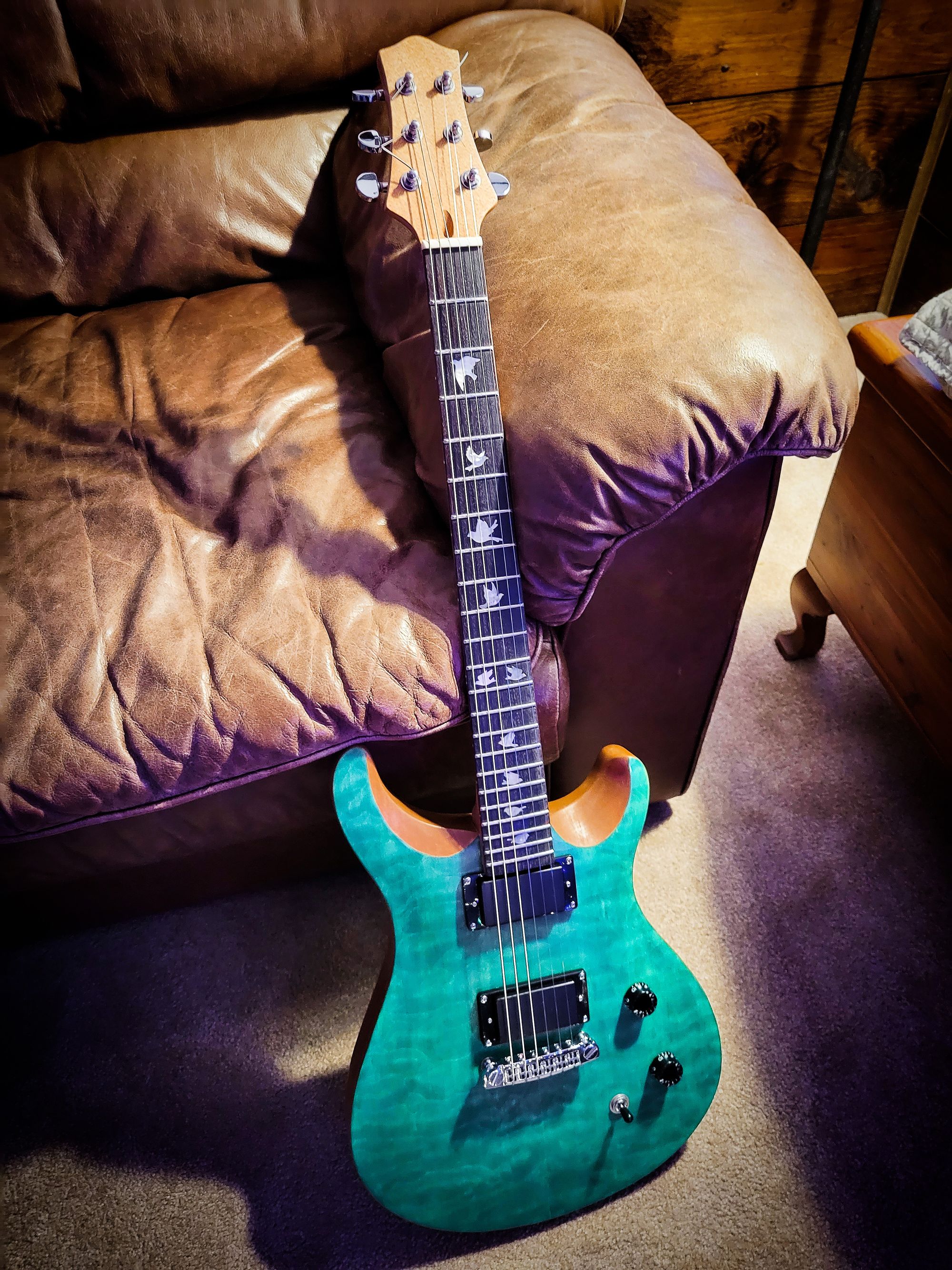 New Guitar Project, Rit Dye yes the same stuff used to m…